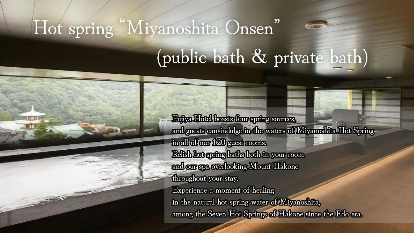 Ryokan Fujiya Hotel Hakone